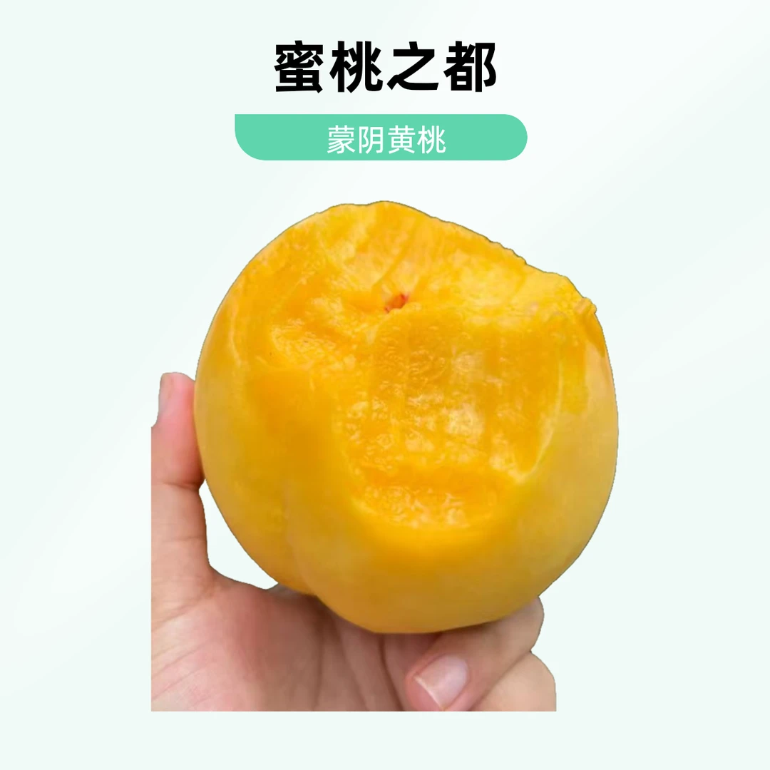 【中通快递】蒙阴黄金蜜桃，开园头茬果 脆软两吃 纯甜脆甜桃香浓郁