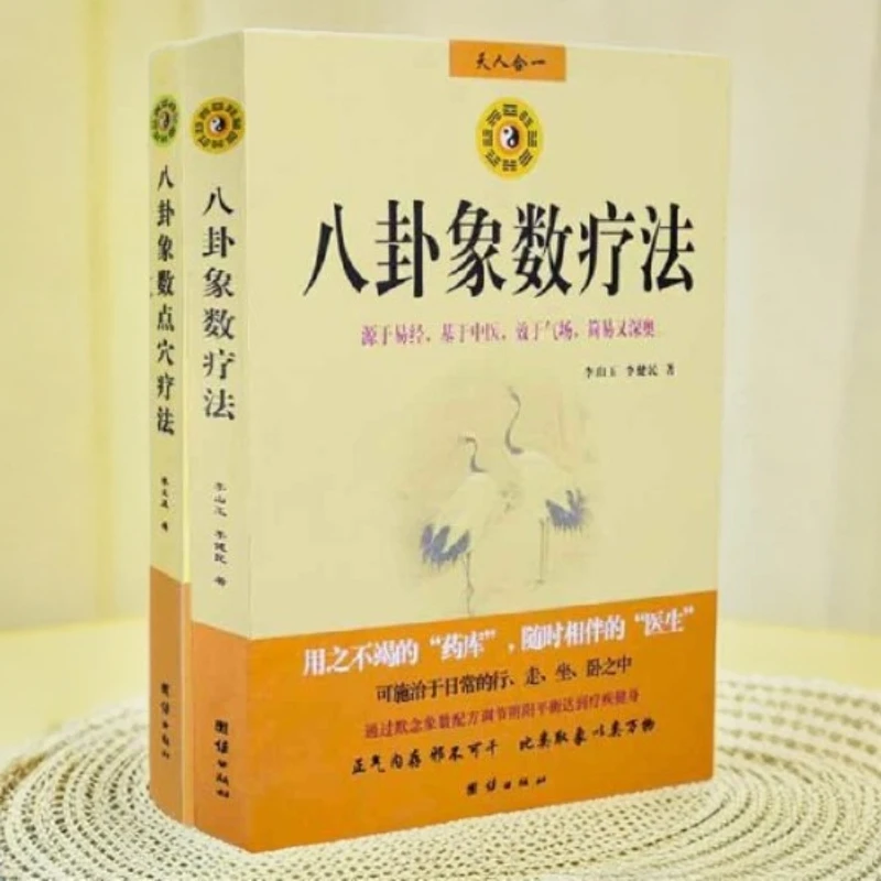 (全两册)八卦象数疗法+八卦象数点穴疗法 正版 中医传承文化丛书