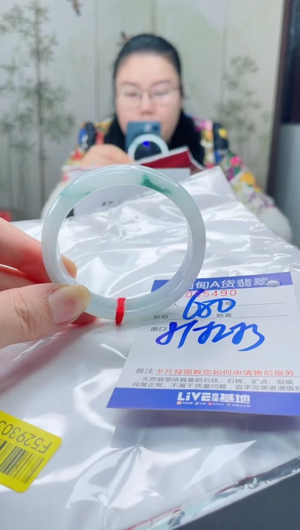 未镶嵌手镯翡翠2