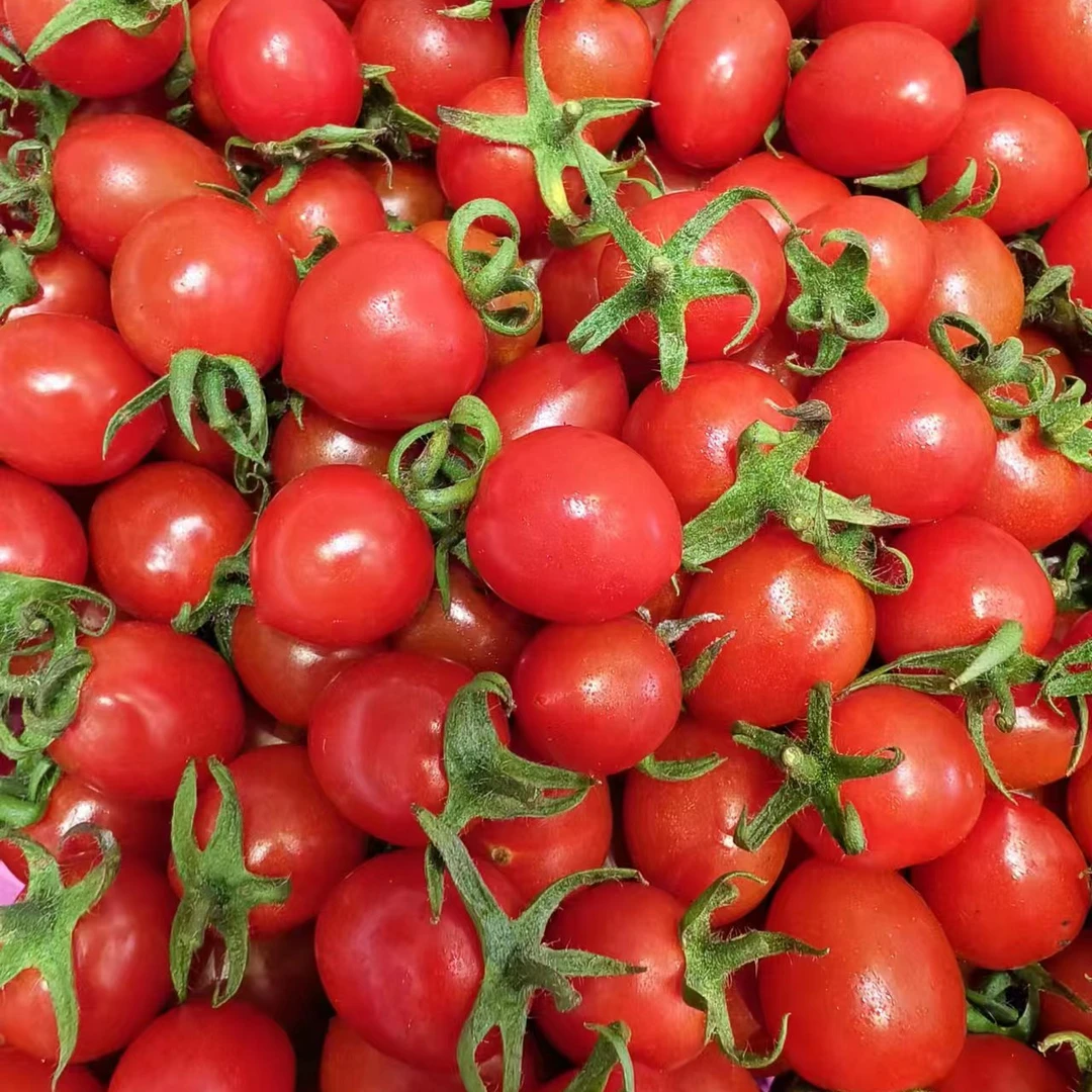 【同城配送】玲珑爆浆千禧22.8一箱