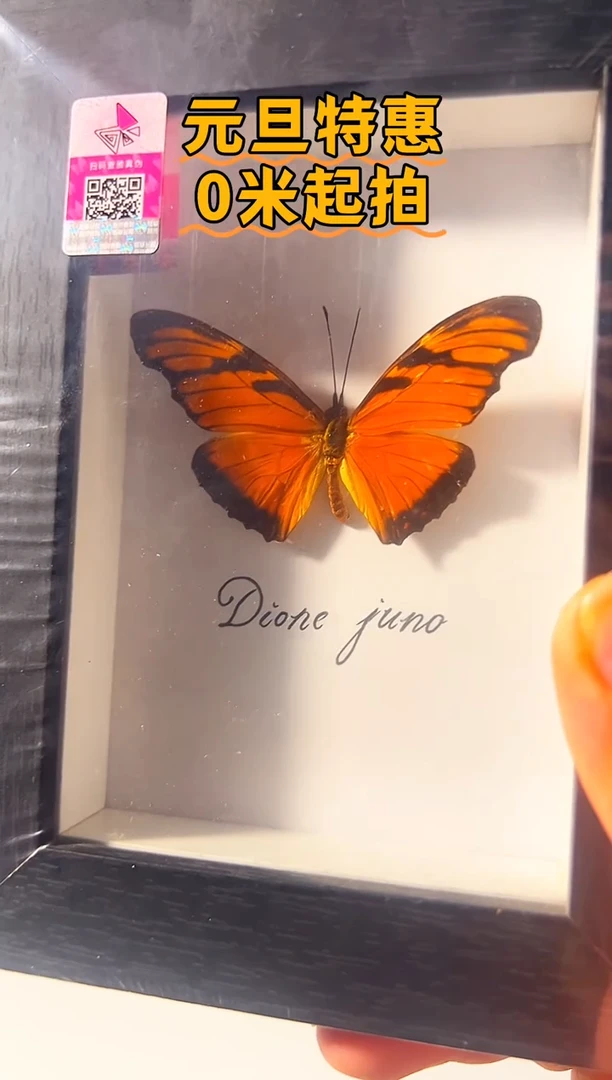 有机玻璃87784687898