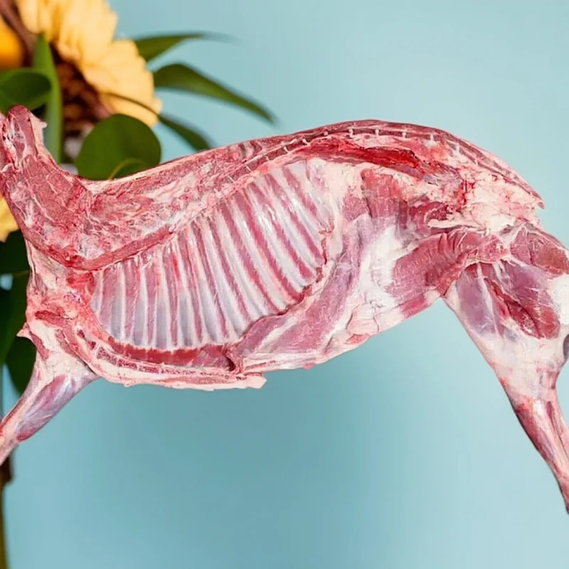 祁连草膘羊半羊15斤整扇100%腿排包邮