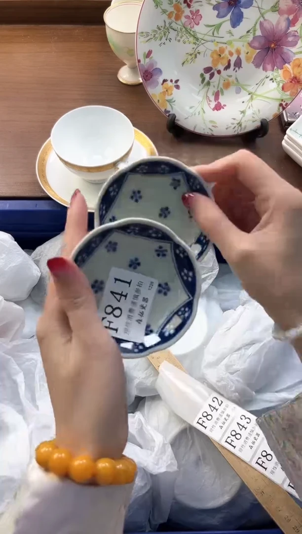 【闪购商品】瓷片----------F841