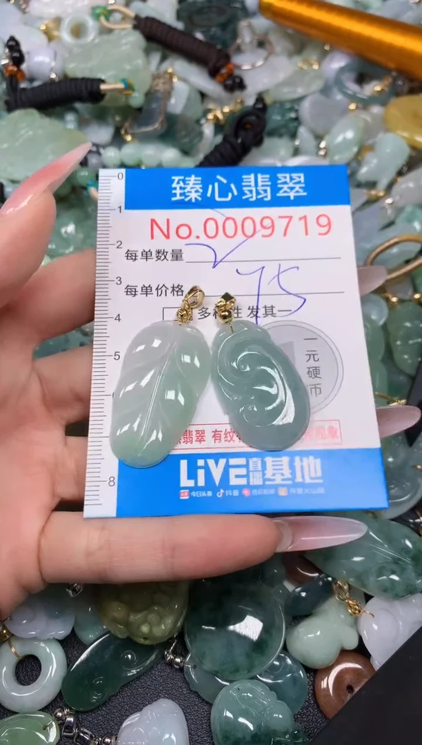 【闪购商品】翡翠颈饰未镶嵌含绳0009719