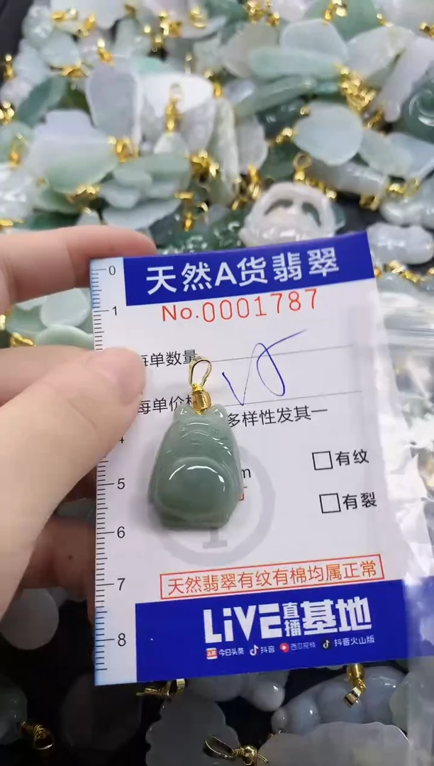 颈饰未镶嵌翡翠天然A货翡翠