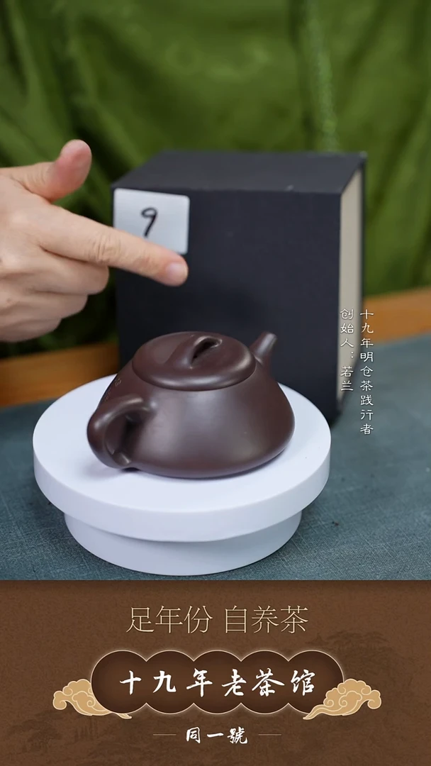 茶壶紫砂宜兴原矿紫砂壶9号