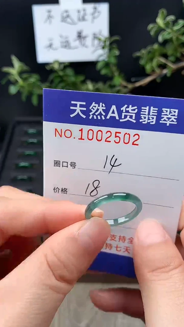 未镶嵌戒指翡翠14#
