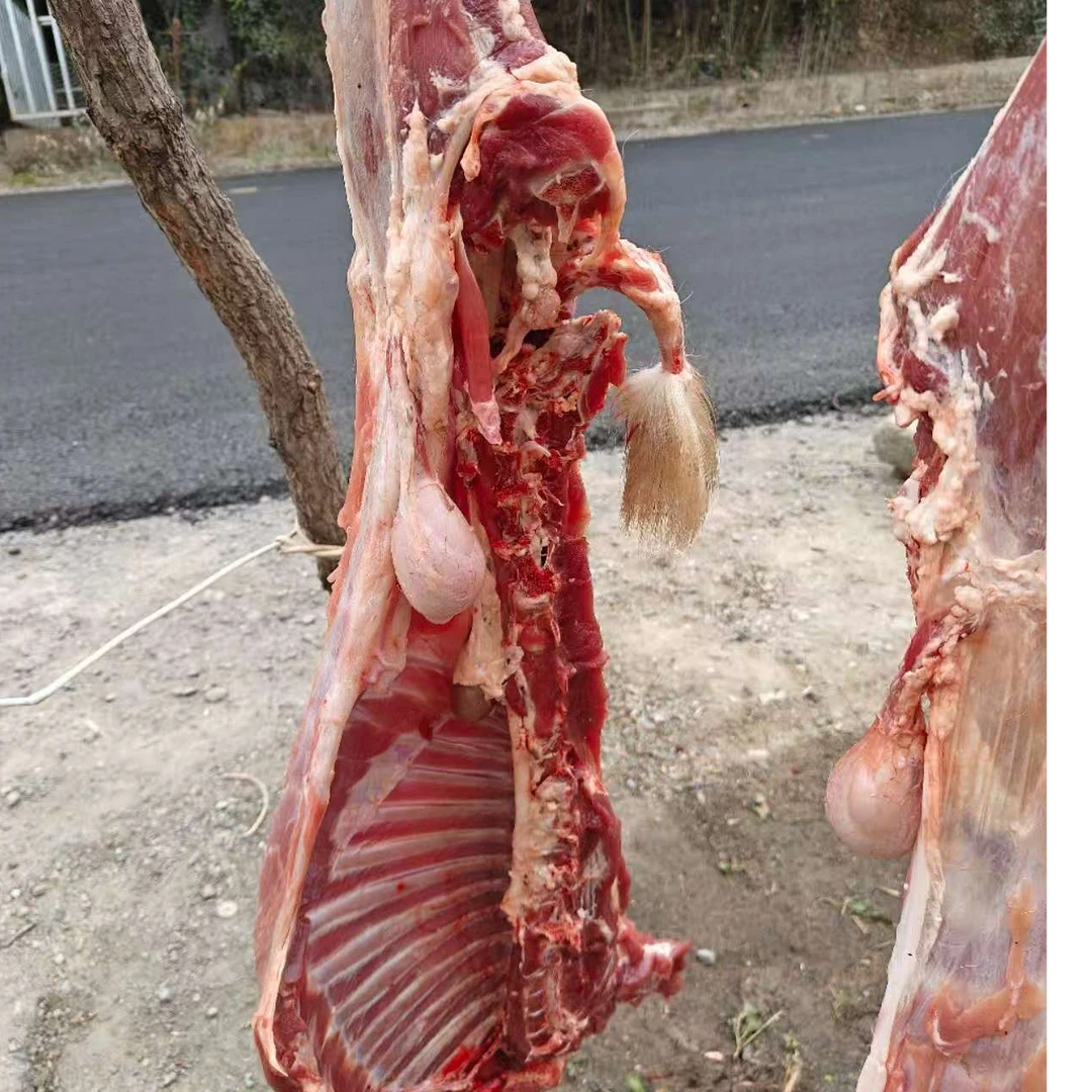 【半羊/整羊】KG河南香炉山养殖场 整扇/切块 100%腿排 现宰现卖