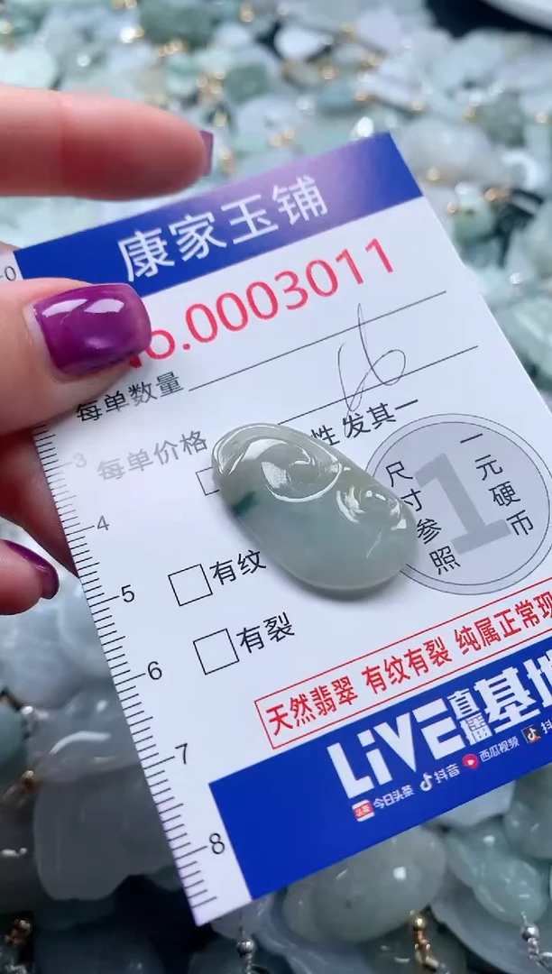 颈饰未镶嵌翡翠3011