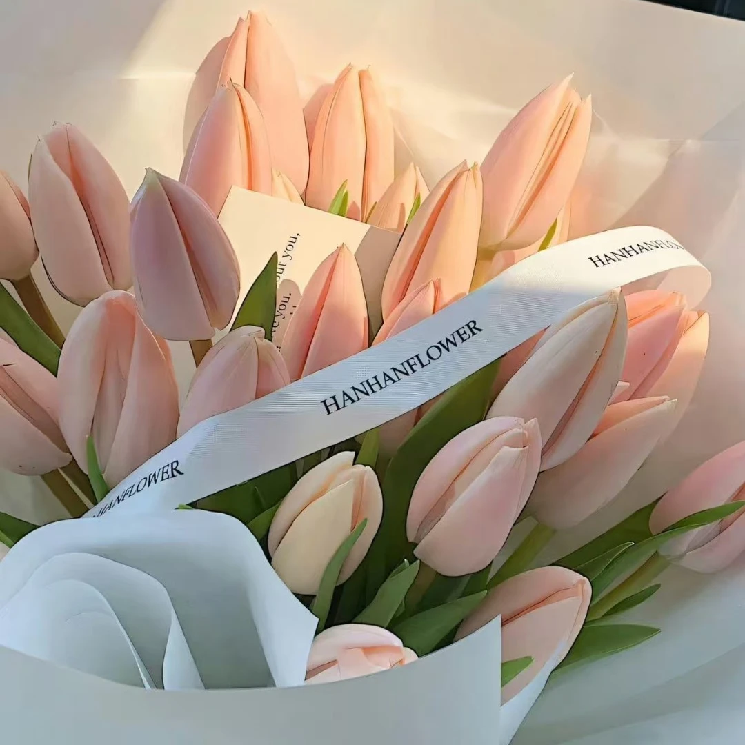 郁金香带花苞发货/娇嫩粉