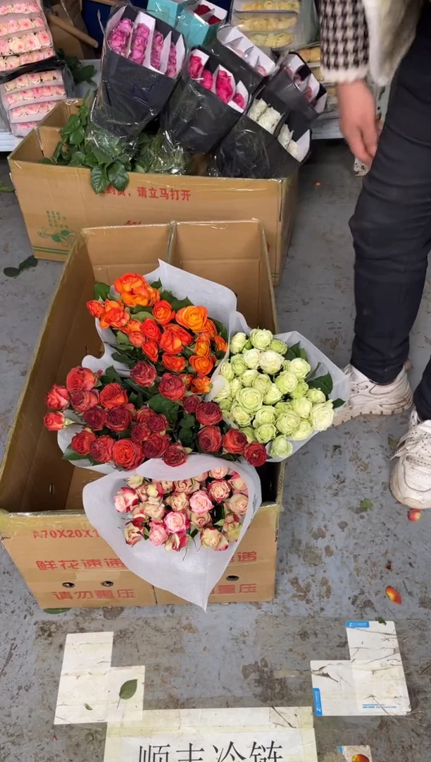 单头折射20枝+单头巧克力20枝+单头繁星20枝+单头橙色芭比20枝