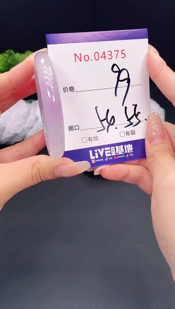 未镶嵌手镯翡翠4375