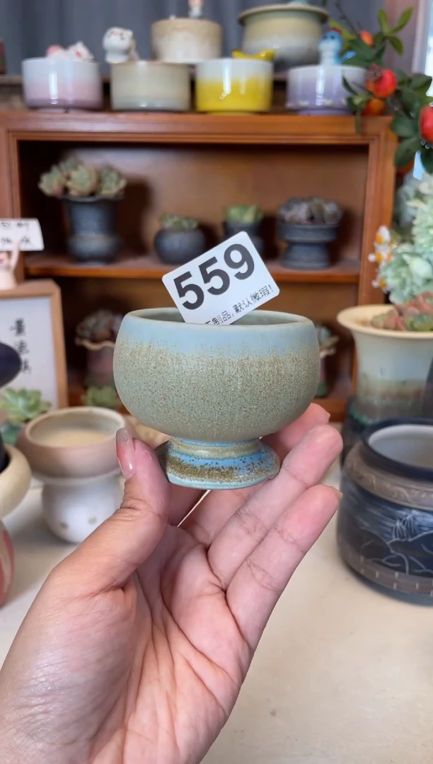 瓷片559知木小芳花盆