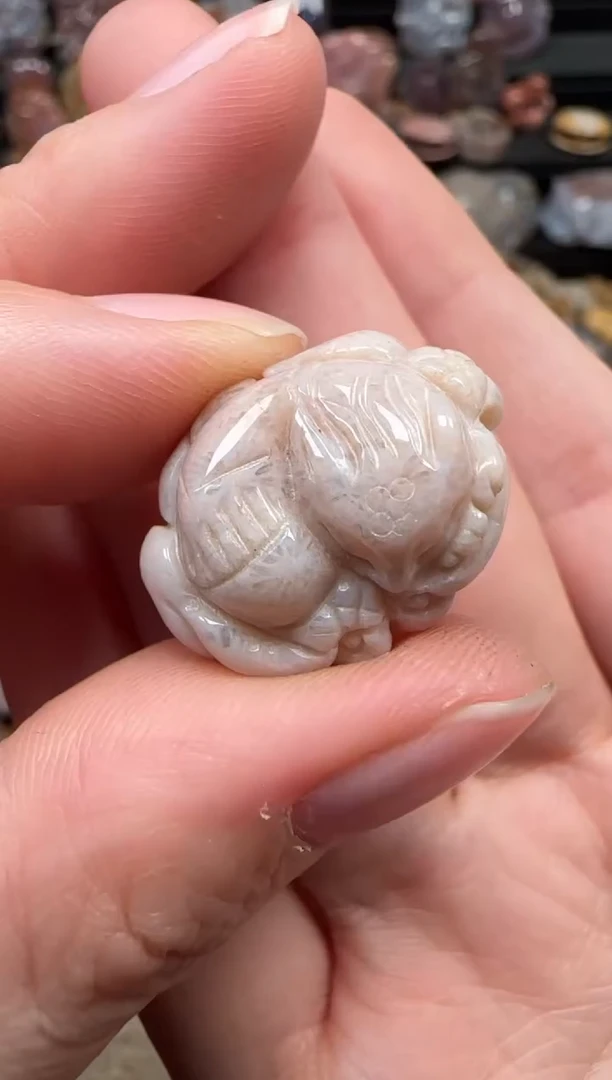 颈饰未镶嵌硅化珊瑚（珊瑚玉）525