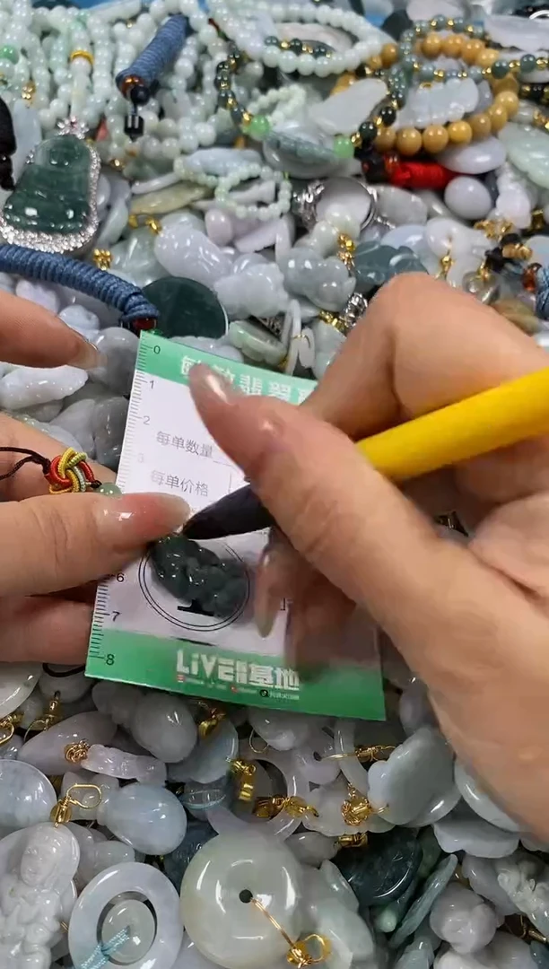 【闪购商品】翡翠颈饰未镶嵌闪购0126110多样性发其一