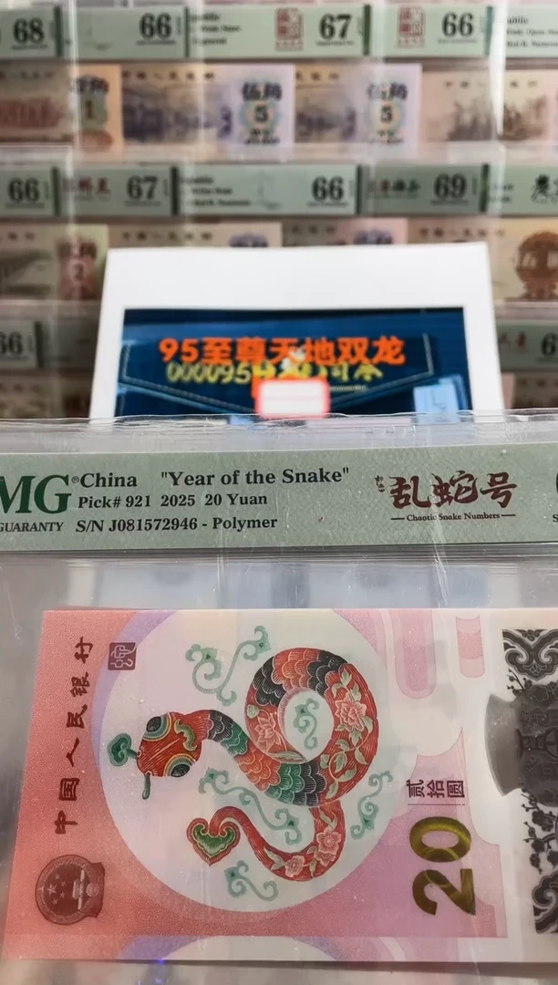 塑料蛇钞如意乱蛇号68分