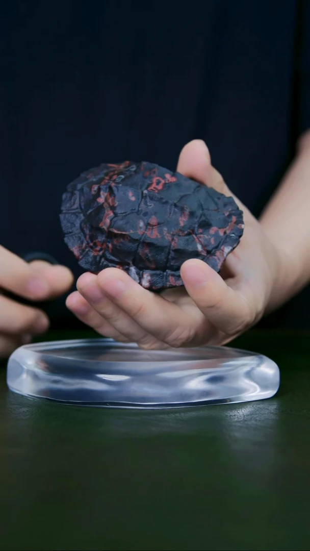 老师手工作品，梅花玉龟甲物一拍