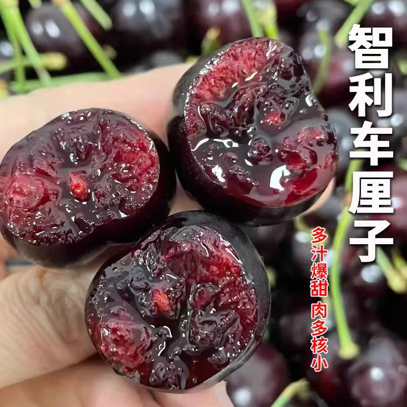 Q1【当天发】 4J智利进口拉宾斯车厘子脆甜多汁果味浓郁宝妈儿童当季热卖高端水果2J-4J原箱5斤