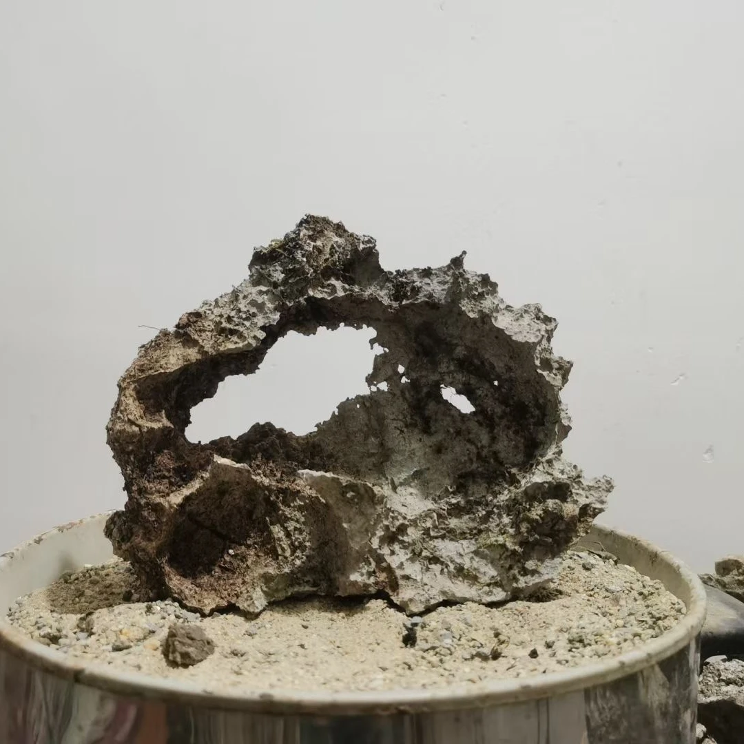 广西太湖石，英石摆件盆景符石一石一景