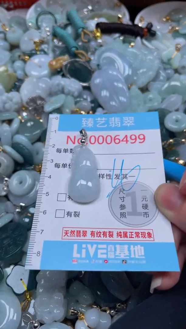 颈饰未镶嵌翡翠6499