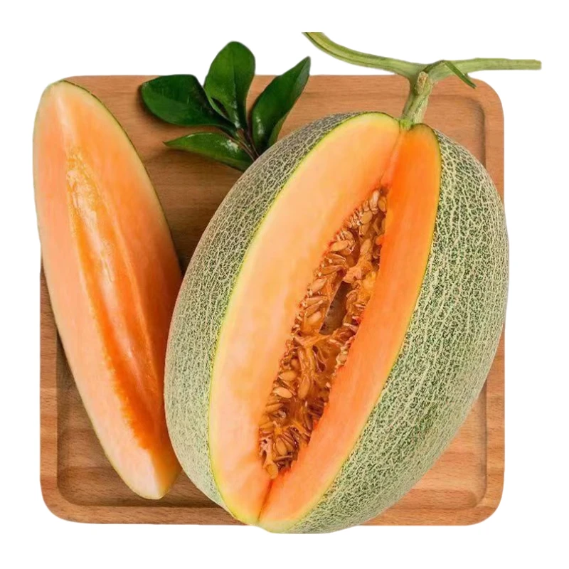 海南脆甜哈密瓜当季整箱新鲜西州蜜瓜多汁皮薄香甜网纹时令水果