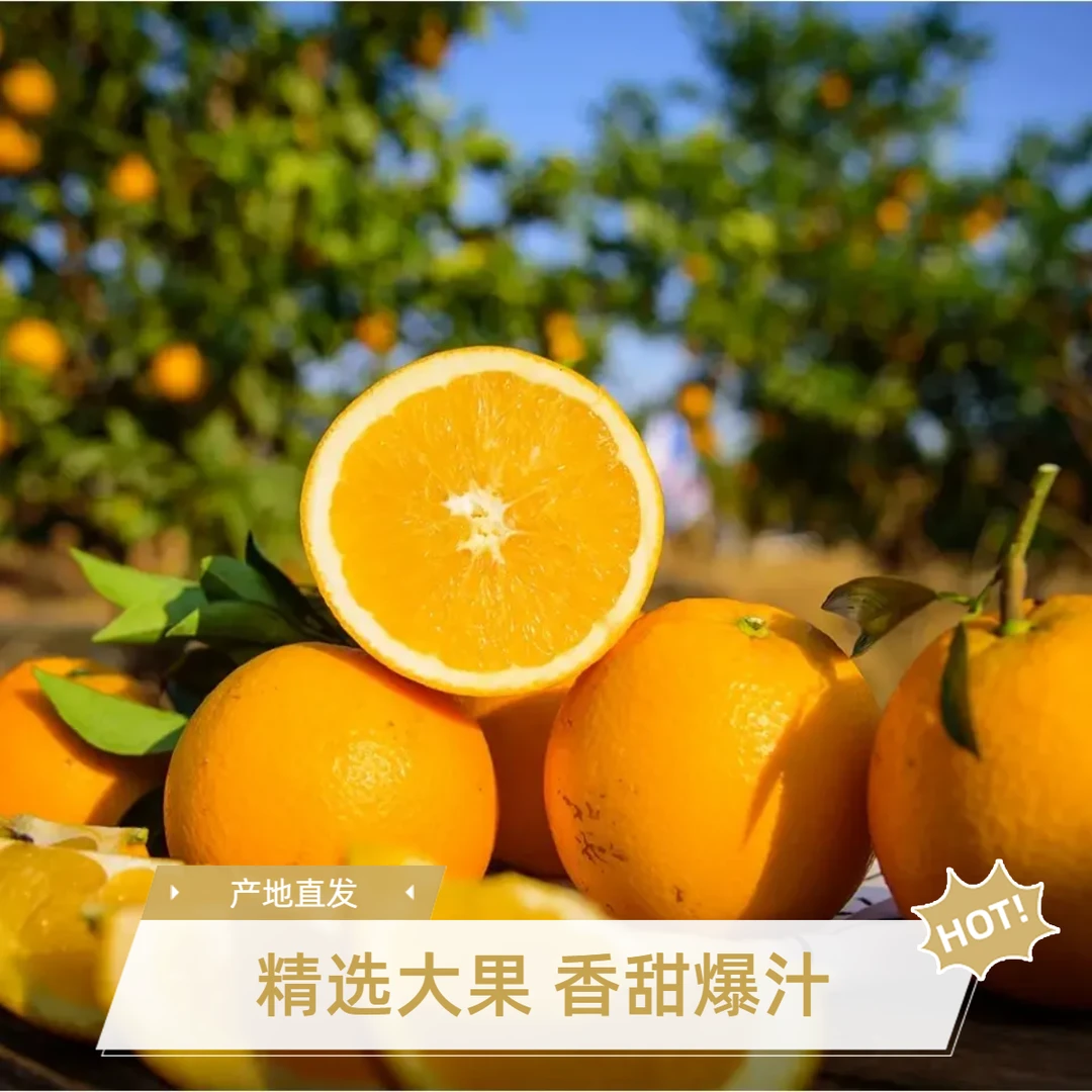 【纯小闲大果】江西赣南信丰脐橙新鲜果园现摘水果健康孕妇新鲜水果
