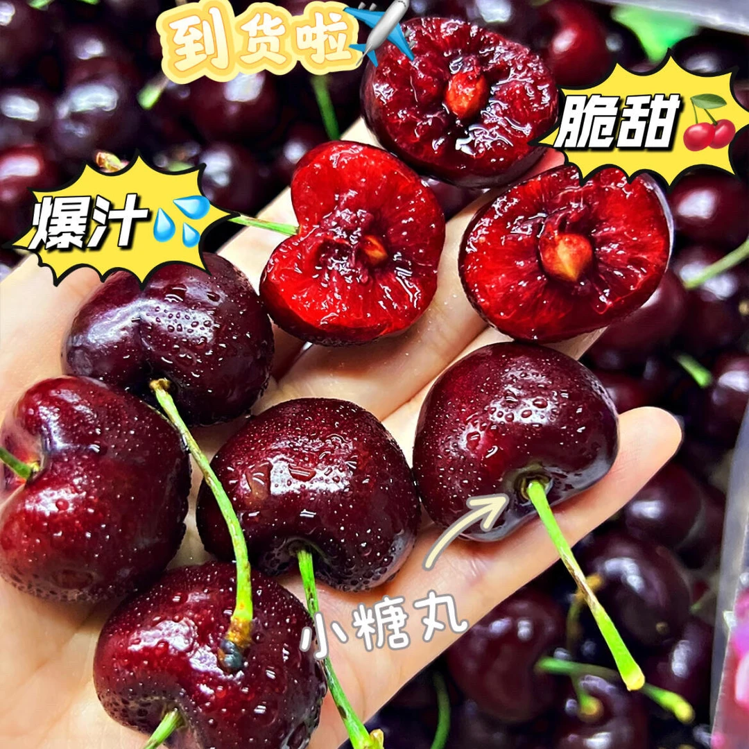 【外卖送到家】桑提娜车厘子【2JD】嘎嘣脆+甜度高+大绿杆智利空运进口礼盒齐齐哈尔同城【现称现送】KG桑提娜智利