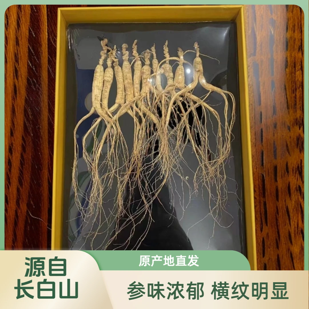 长白山林下参 10支装 泡酒煲汤 礼盒装