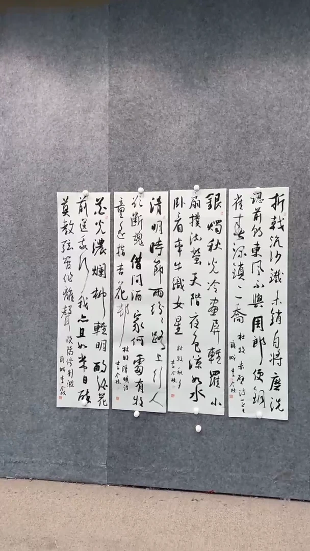 【闪购商品】书法pmw不二轩旗舰店国画ZJD7