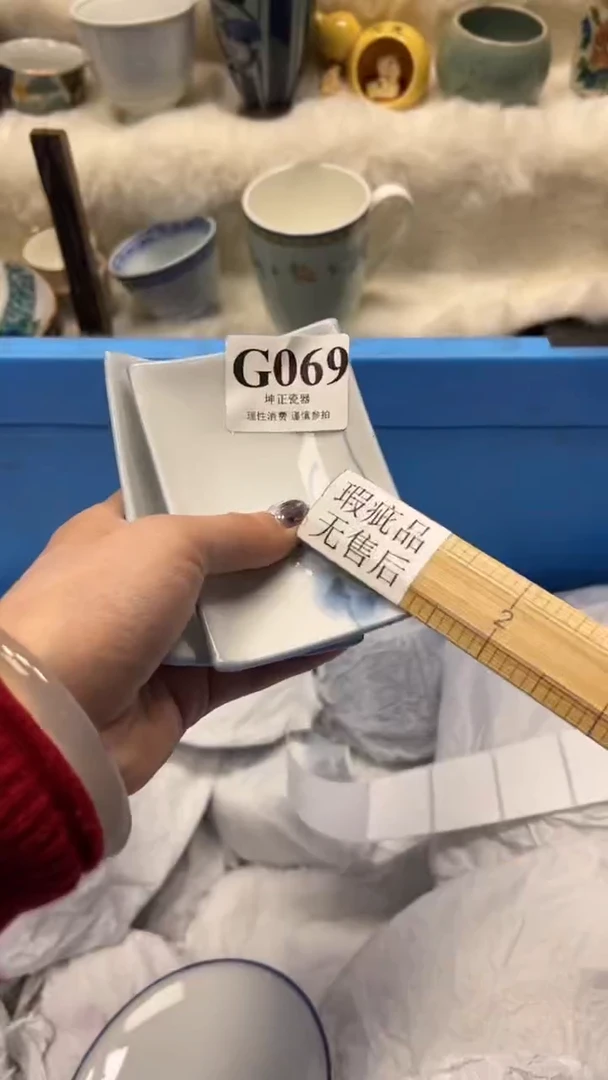 【闪购商品】瓷片          G069