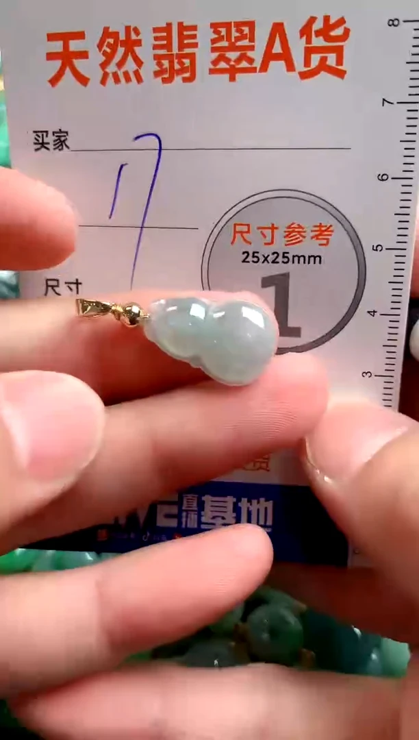 翡翠未镶嵌颈饰24001235