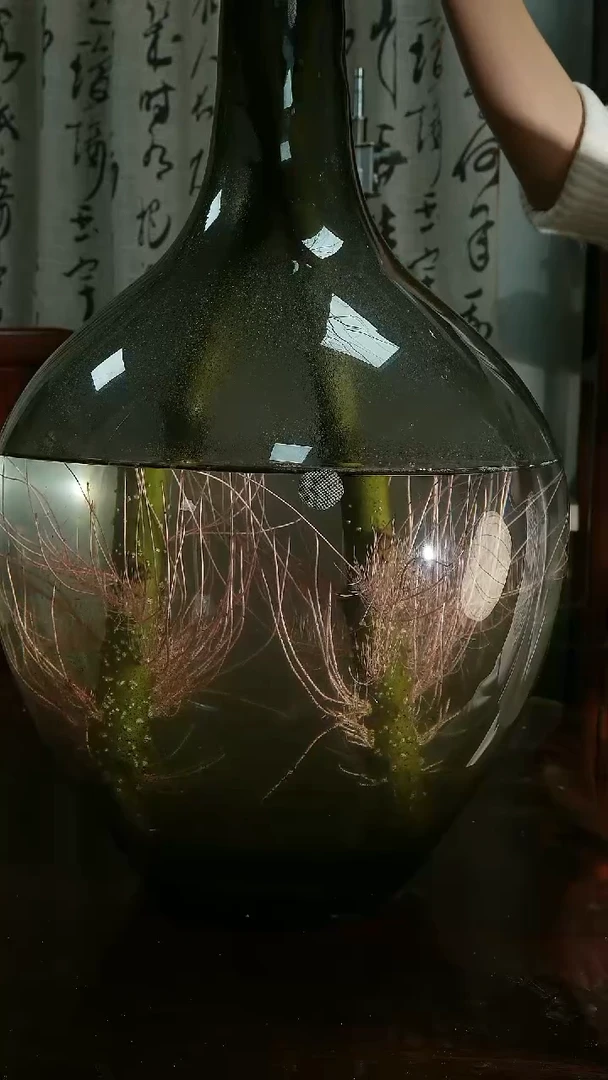 无花朵造型龙柳树