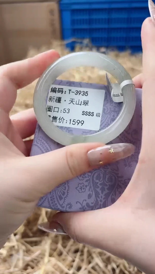 未镶嵌手镯石英质玉T-3935