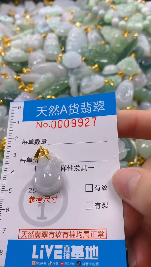 颈饰未镶嵌翡翠净货挂件-9927