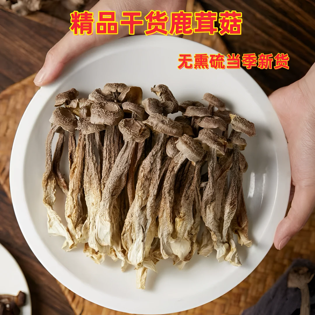 【小主播源头自采】新鲜头茬干货鹿茸菇 炒菜炖汤鲜美