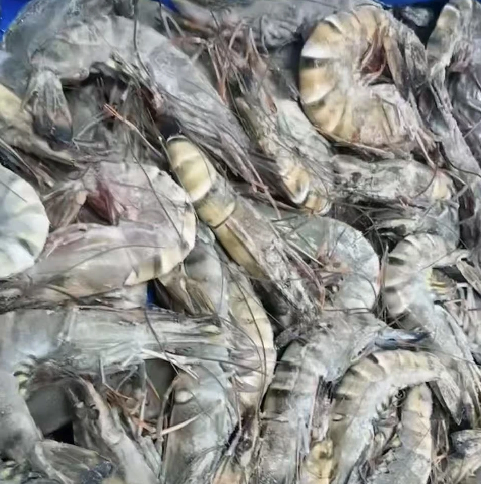 【壹壹生鲜同城配送】黑虎虾，净重1斤
