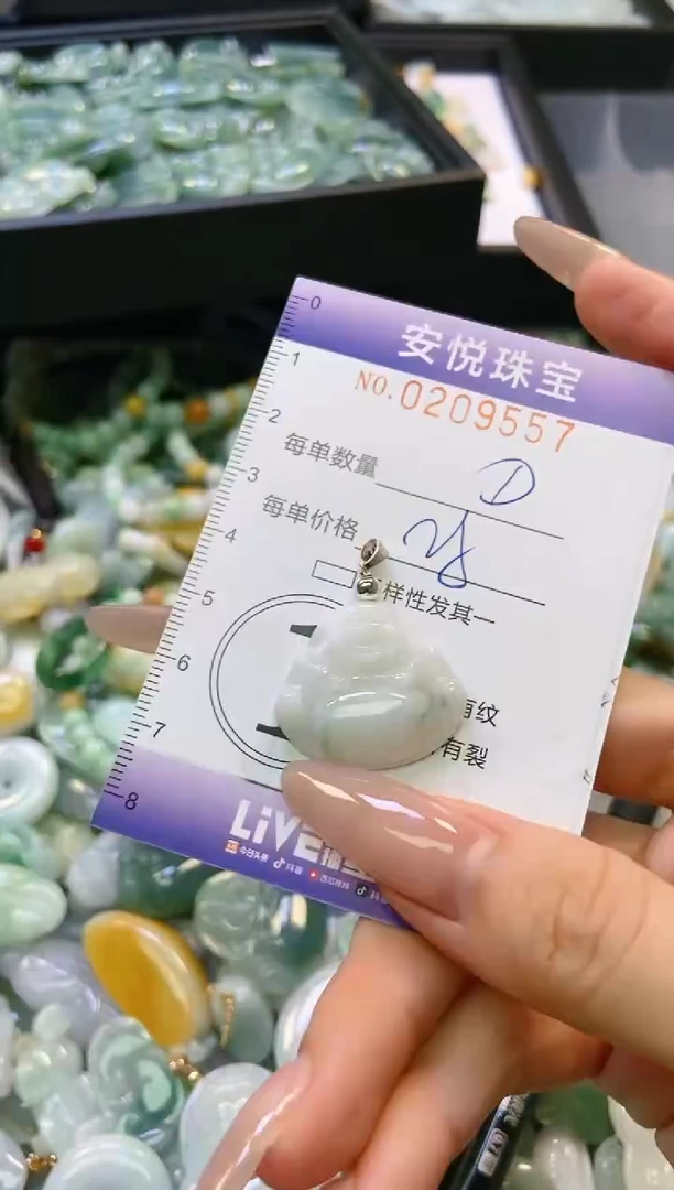 翡翠未镶嵌颈饰闪购0209557