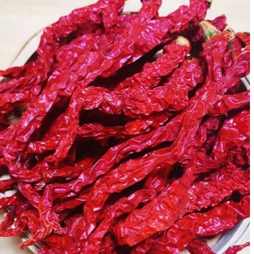 2024富平新干辣椒