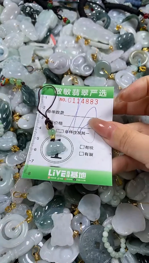 【闪购商品】翡翠颈饰未镶嵌闪购0114883