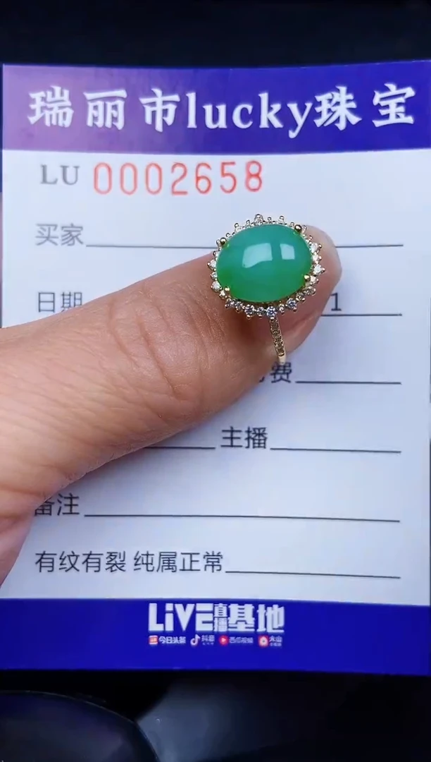 翡翠银S925镶嵌颈饰2658