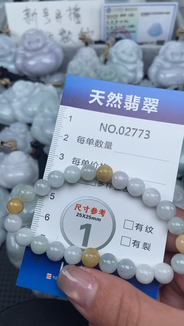 颈饰未镶嵌翡翠纯天然A货翡翠2773
