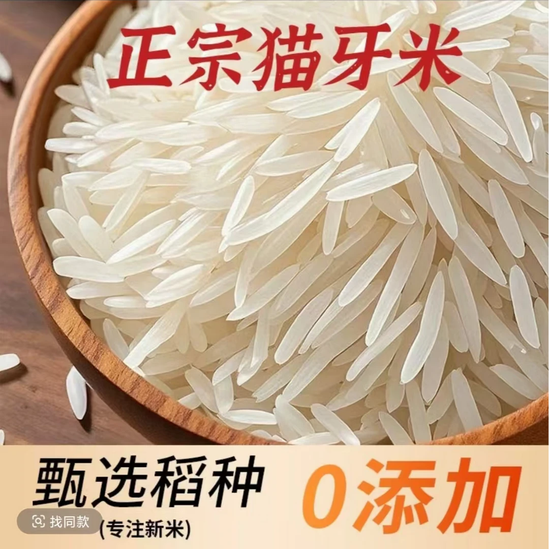 【产地直发】猫牙香米新米长粒煮饭软糯熬粥香甜现磨现发