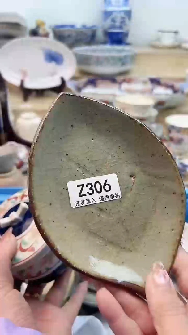 【闪购商品】瓷片306