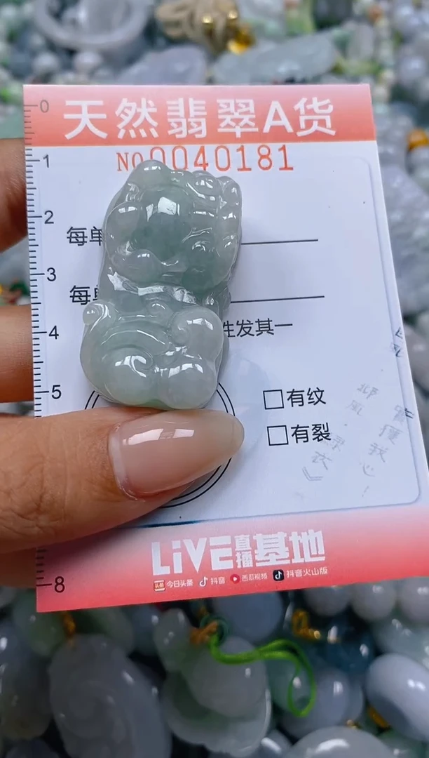 翡翠未镶嵌颈饰闪购0040181