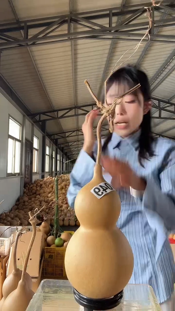 无花朵049天然葫芦摆件 一物一拍龙头不保售后不带底座