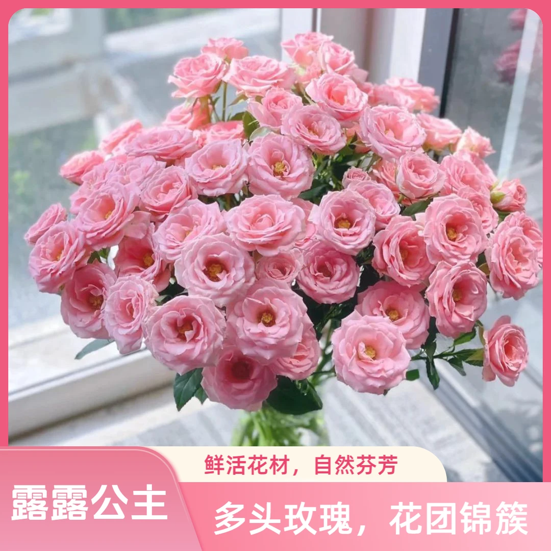 【杨苏莹花房】露露公主多头玫瑰10枝 云南鲜花任意两单顺丰空运