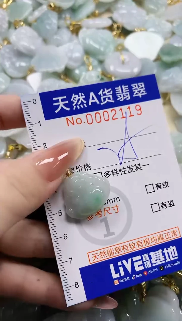 颈饰未镶嵌翡翠天然A货翡翠