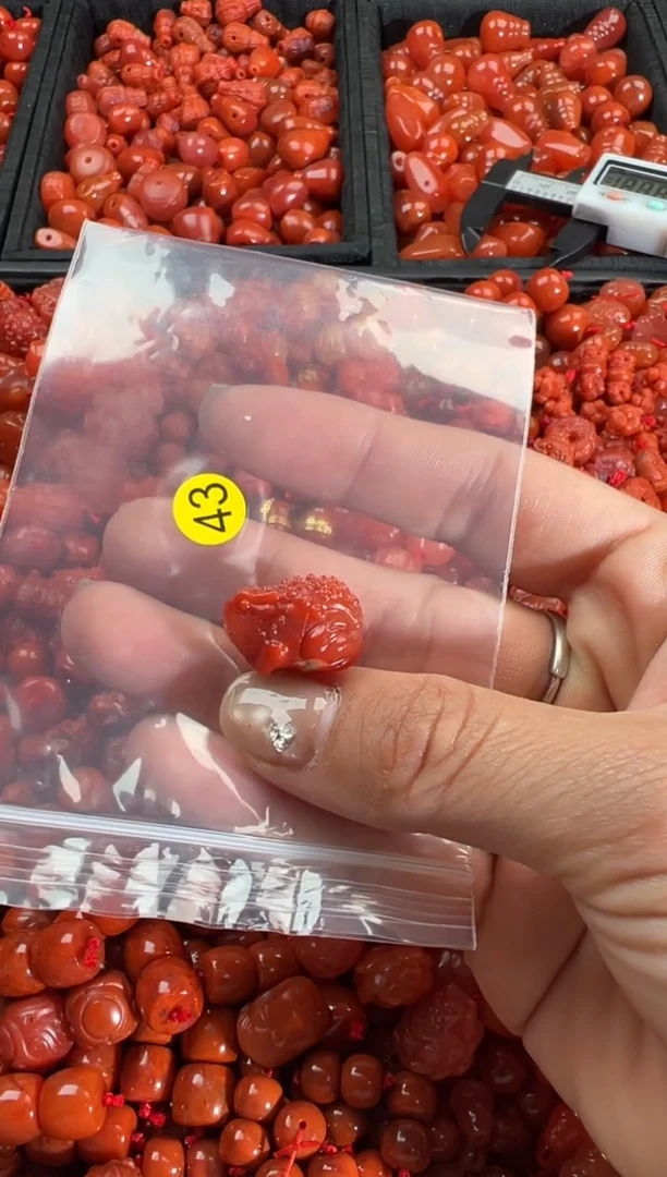 【闪购商品】南红玛瑙颈饰未镶嵌1