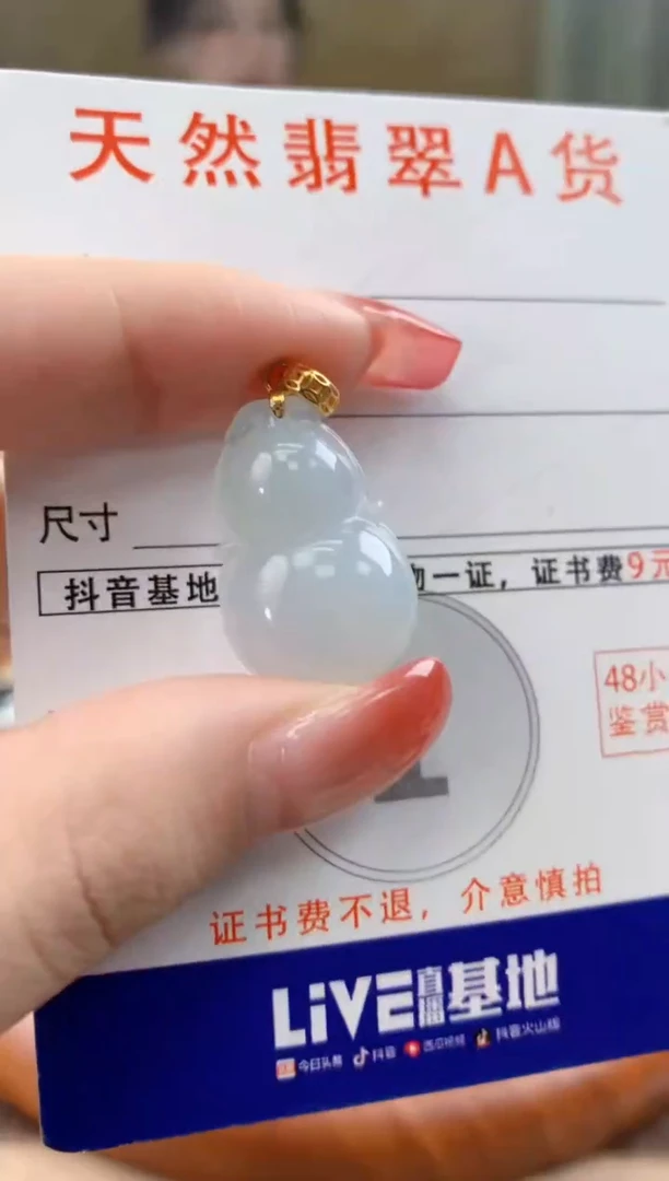 颈饰未镶嵌翡翠 天然A货翡翠挂件