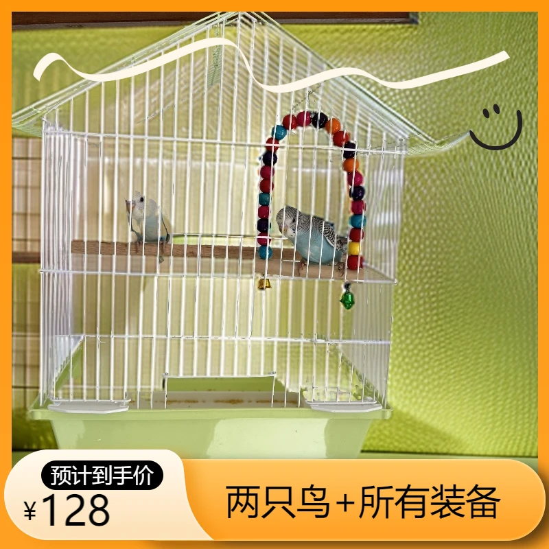 两只鸟+别墅鸟笼+鸟窝+秋千+撑杆+吊篮+大袋鸟粮+粮食加水盒+托盘